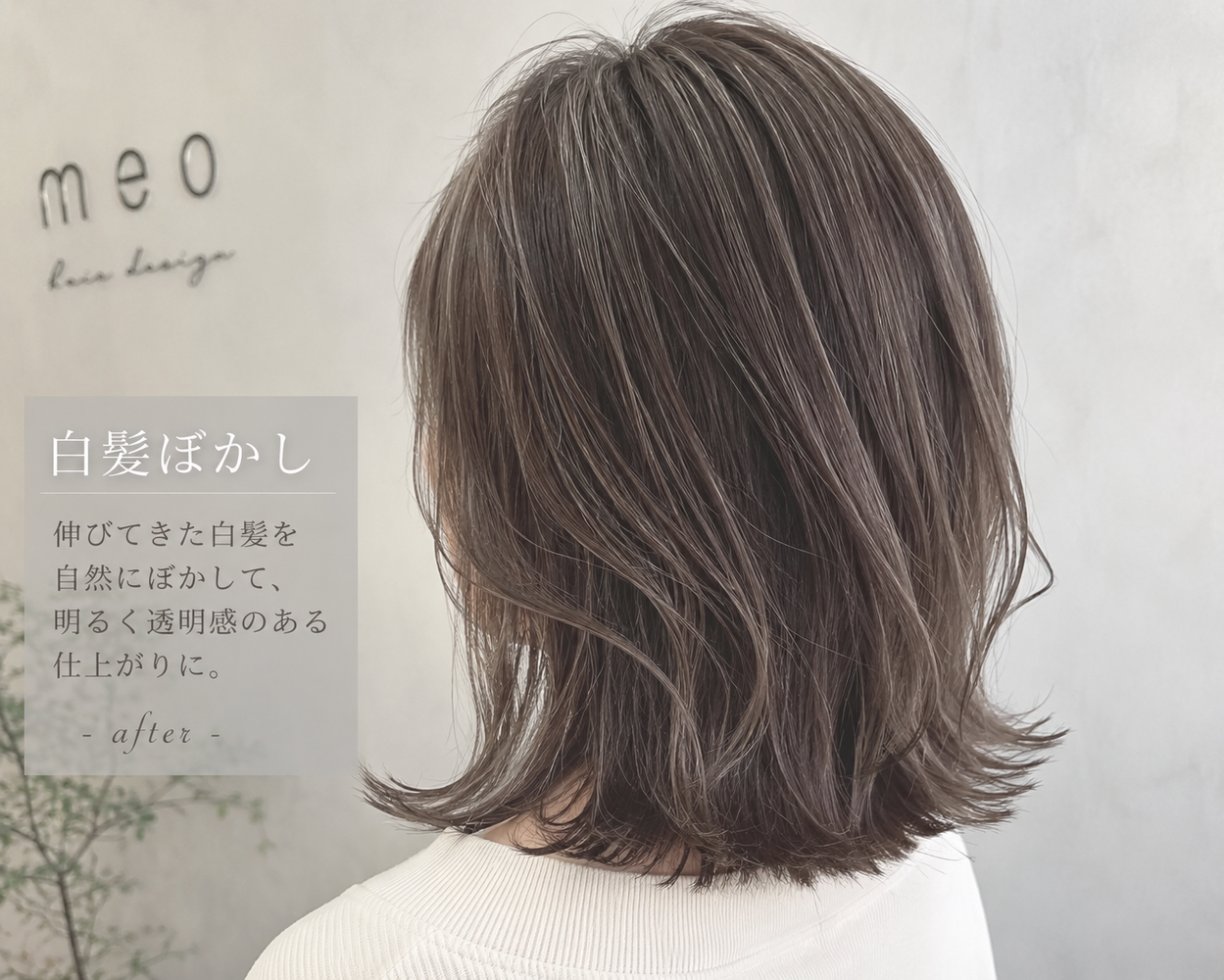 画像2777